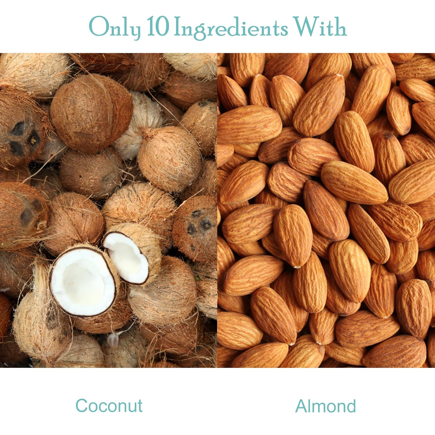 Missy J's Organic Coconut Almond Bar 3 Oz 6 Pack Made with Coconut Sugar, Vegan, Gluten Caffeine Free, Healthy Substitute for Chocolate, Perfect for Snacks and Treats