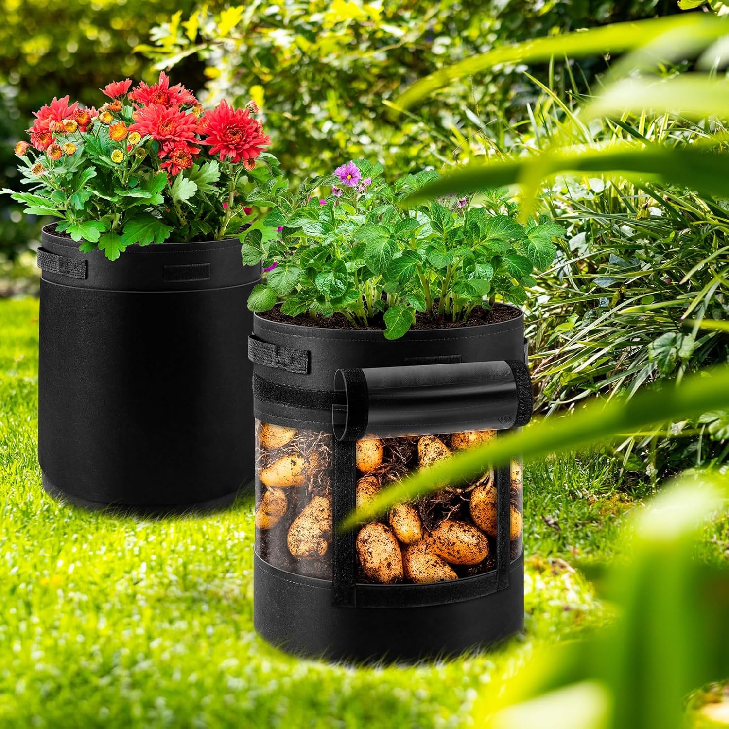 3 Pack 10 Gallon 360° Visibility Potato Grow Bags with Shading Flap, Plant Grow Bags for Growing Potatoes Heavy Duty Thickened Nonwoven Fabric Gardening Vegetable Growing Bags with Harvest Window - Image 7