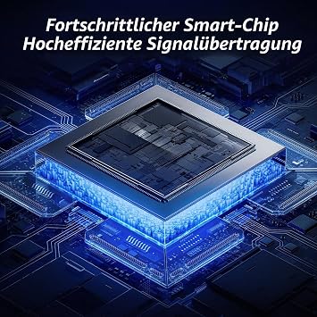2 in 1 USB C auf Ethernet Adapter 1000Mbps für Windows