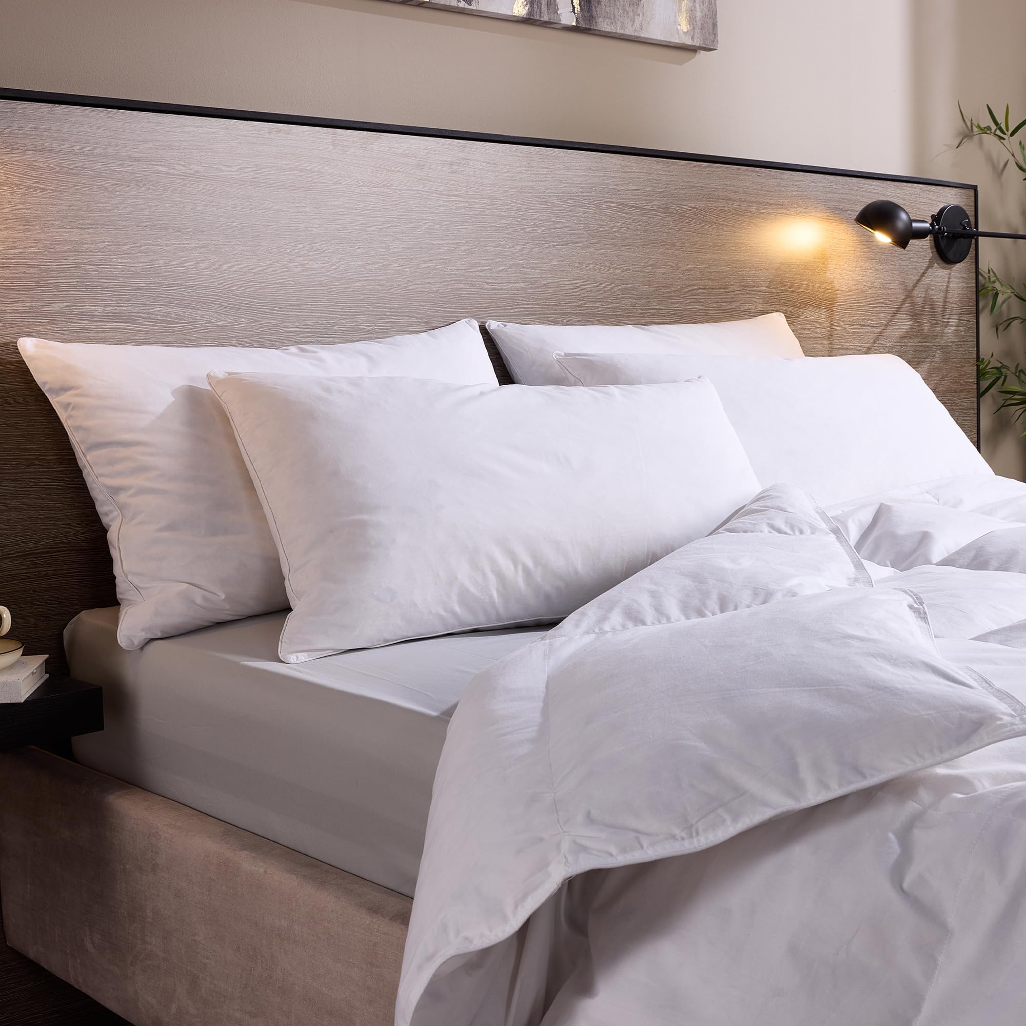 SnuggledownGoose Feather & Down Pillows 2 Pack - Medium Support Back Sleeper Pillows for Back Pain Relief - 100% Cotton Cover, Hypoallergenic, UK Standard Size (48cm x 74cm)