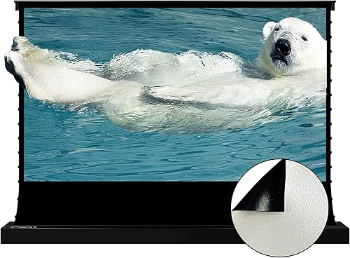 VIVIDSTORM Desde 2004 - Pantalla de proyector, pantalla blanca de cine nacarado, pantalla de proyección motorizada de vivienda negra, VSDSTZW72H