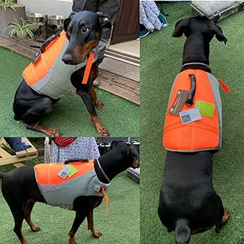 truelove ライフジャケット　XL オレンジ　大型犬 楽天市場】【新色追加】Truelove 犬 ライフジャケット ハンドル