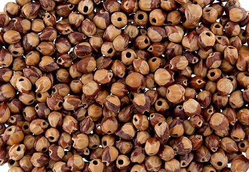 Miniatura 1 de Navajo Ghost Spirit Beads Cedar Juniper Berries Seeds con agujeros aproximadamente 620-760 cuentas