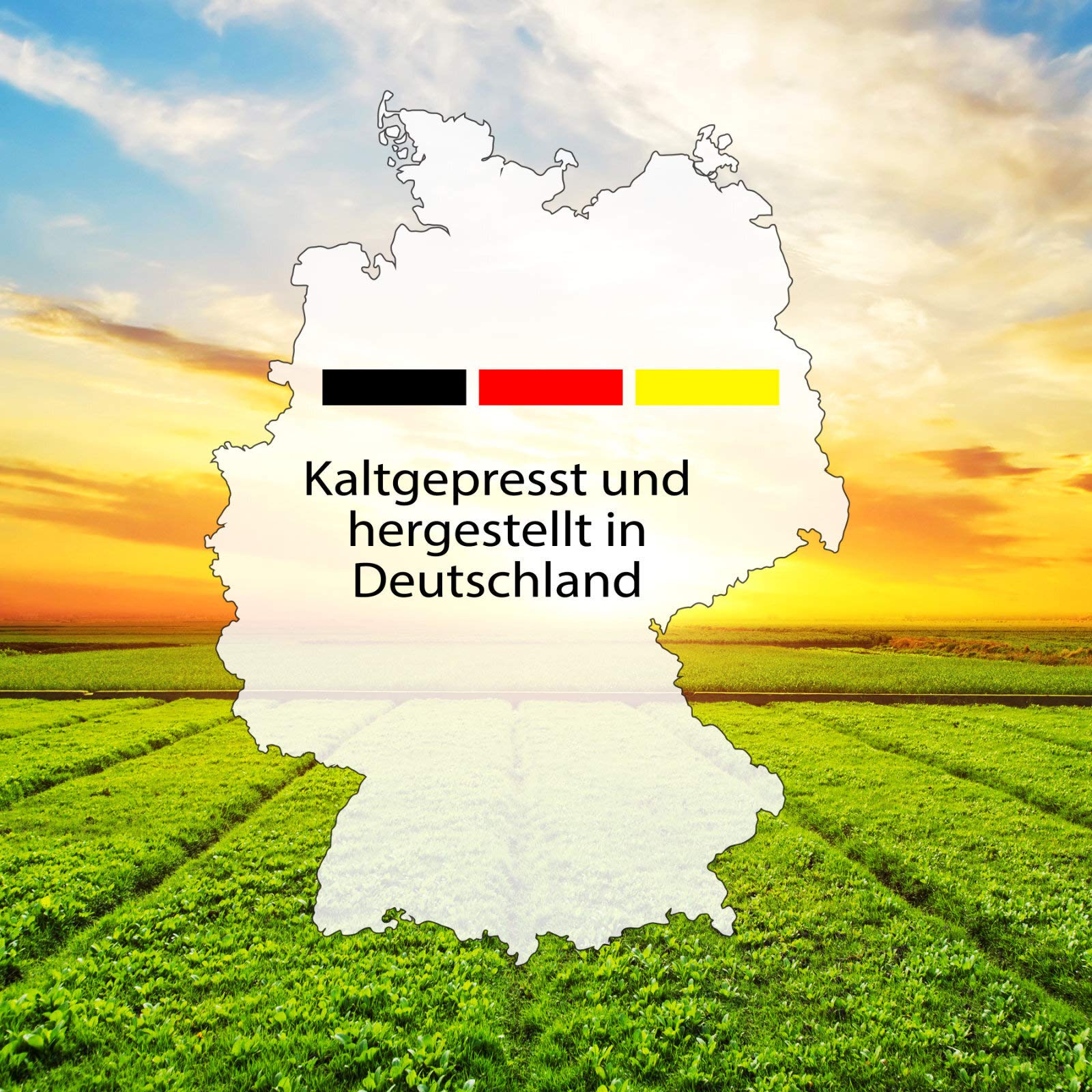 3 x Lausitzer Leinöl - Lausitzer Gold (kaltgepresstes ungefiltertes Premium Leinöl), 3x 500ml