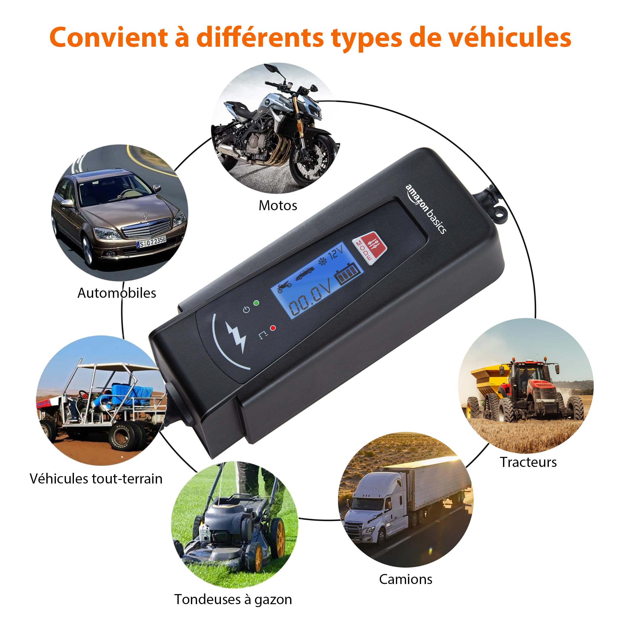 Amazon Basics Chargeur de batterie intelligent automatique avec fonction testeur de batterie, prise UE, sortie : 2A/4A, 6V/12V DC, Noir