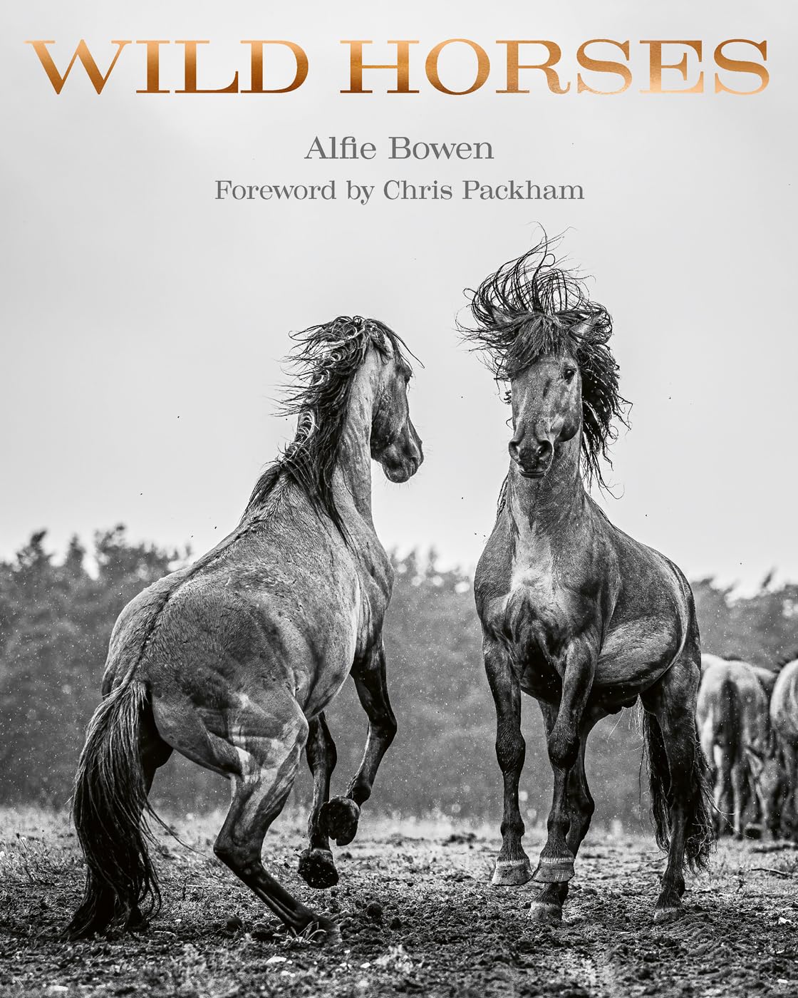 Wild Horses: Alfie Bowen