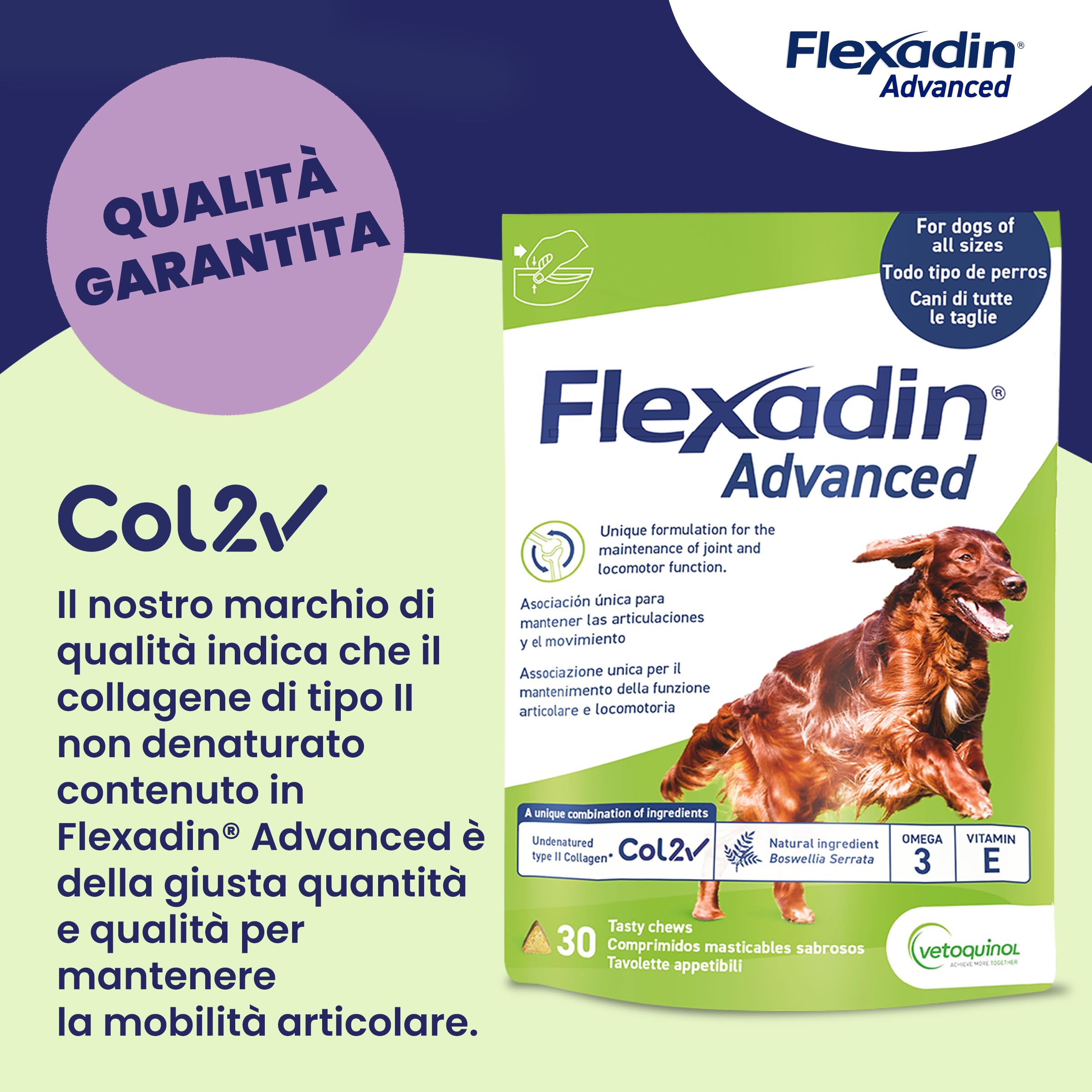 Vetoquinol Flexadin Advanced Cane | Mangime complementare per Cani | Ideale per il supporto delle articolazioni anche in corso di Osteoartrite | 60 Tavolette Appetibili, 1 tavoletta al giorno