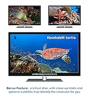 Vista 7 de Reefscapes Nature's Aquarium