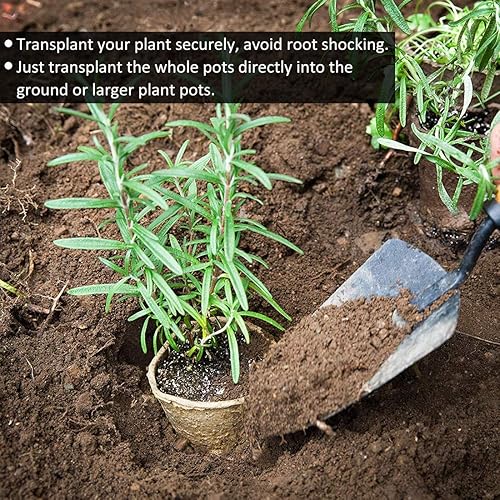 Miniatura 6 de GROWNEER  Macetas biodegradables para plantas de semillero macetas de germinación de jardín con etiquetas de plantas