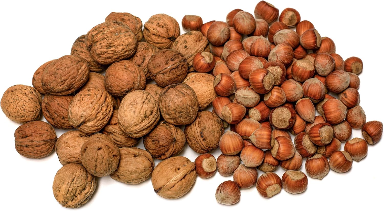 Omega 3 Content In Hazelnuts at Victor Morin blog