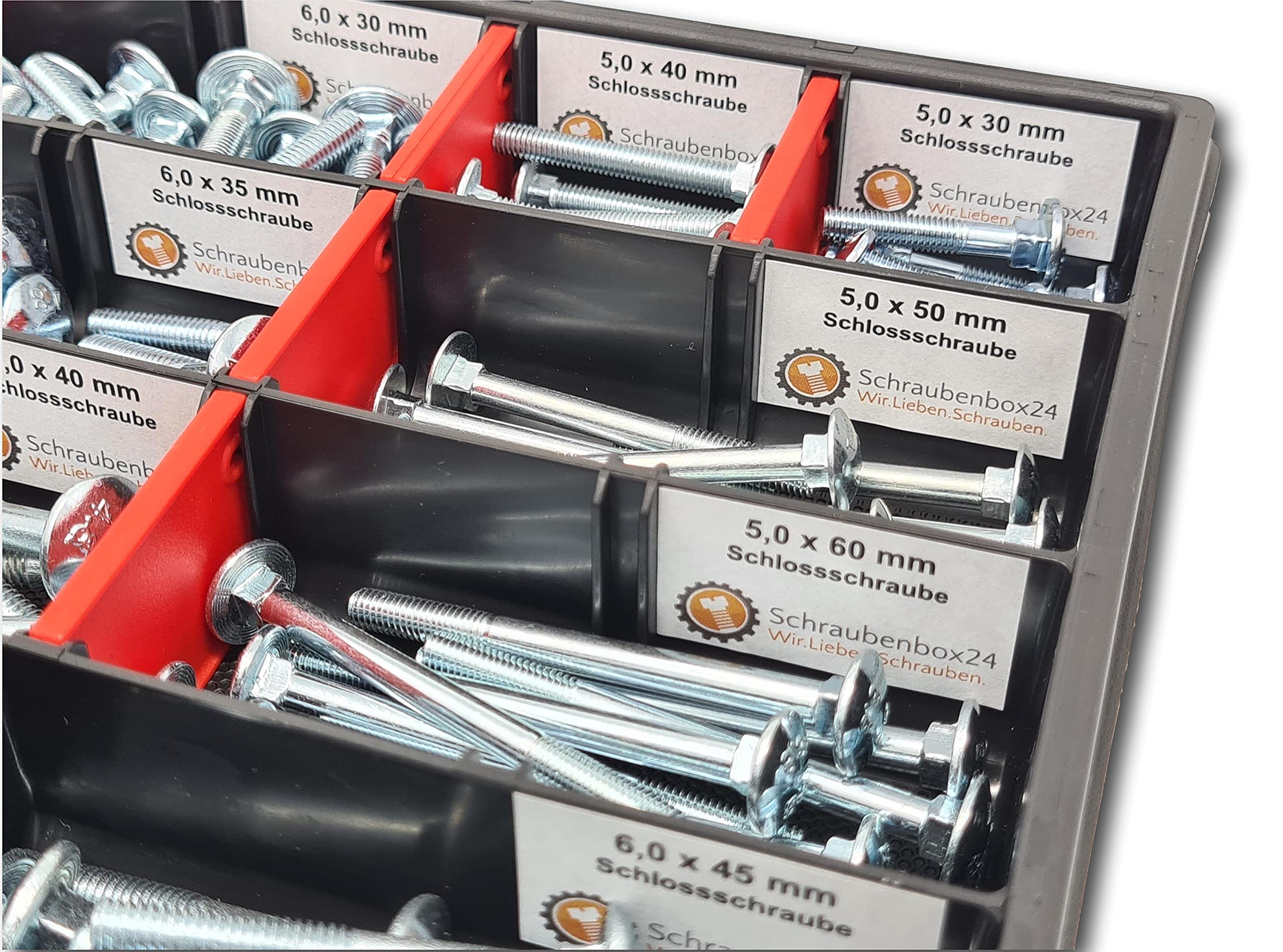 Flachrundschrauben Sortiment M5-M6-M8 // 30mm-60mm 115 tlg. Schraubenbox DIN 603