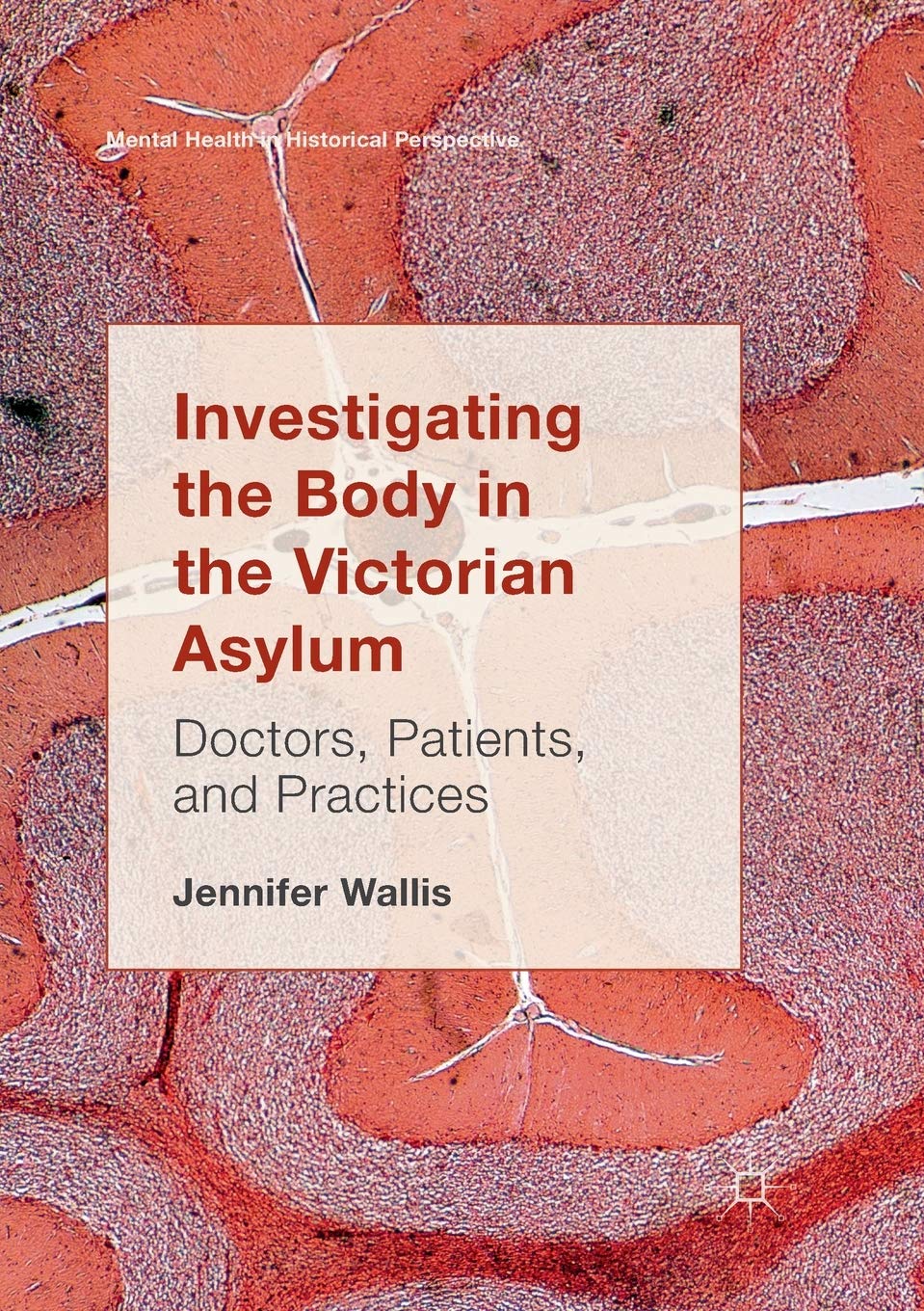Investigating the Body in the Victorian Asylum: Doctors, Patients, and Practices (Mental Health in Historical Perspective)