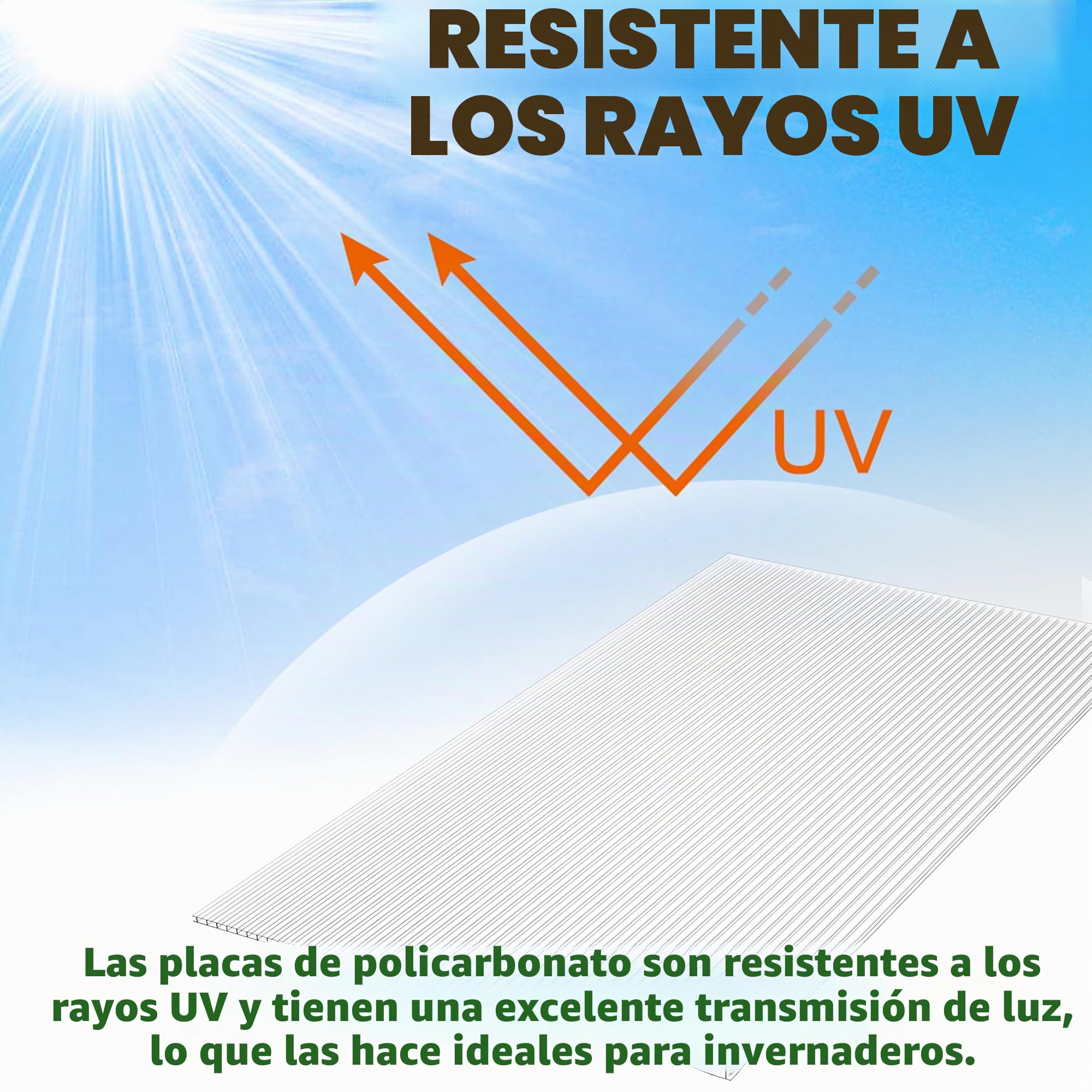 Froadp 14 Piezas Láminas de Policarbonato Celular Plástico Resistente UV-Rayos Accesorios de Doble Ranura para Plantas Cultivos Sistemas de Carpas de Invernadero de Jardín(605x1210x4mm, Transparente)