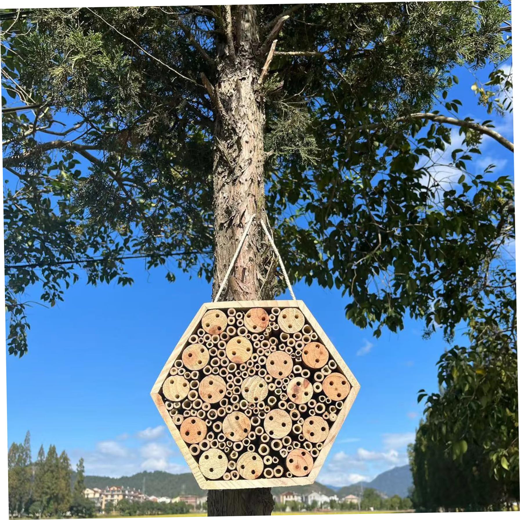 Casetta per esagonale in legno per giardino - Hotel naturale con corda sospesa, casetta per in muratura per esterni per attirare gli impollinatori, decorazione del giardino dell'hotel per ins