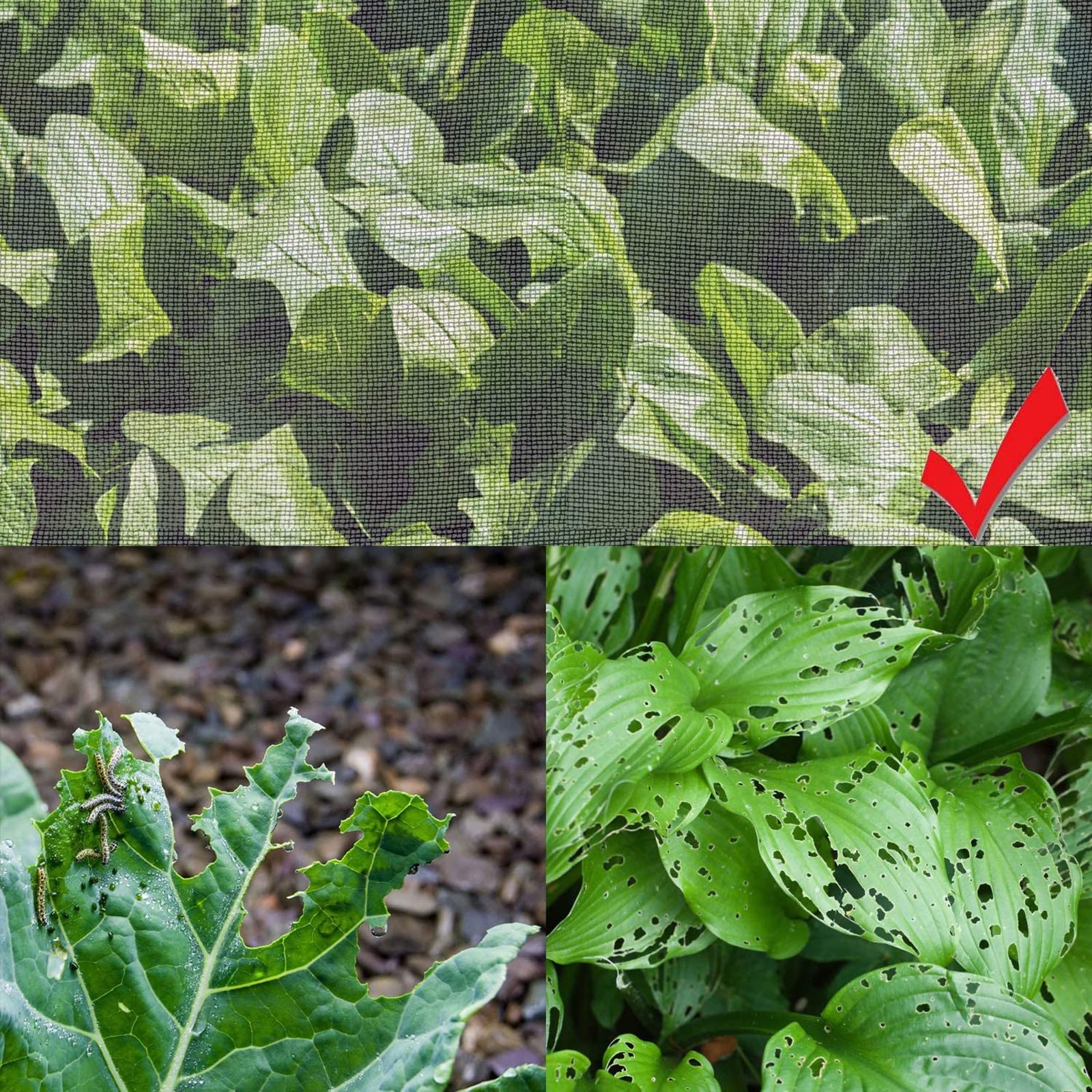 Reti Protettive da Giardino Rete Anti Insetti per Piante Maglia Fine Pianta da Frutto Protezione delle Colture Rete per Uccelli Zanzariera per Fiori,Colture e Serre(3x75m)