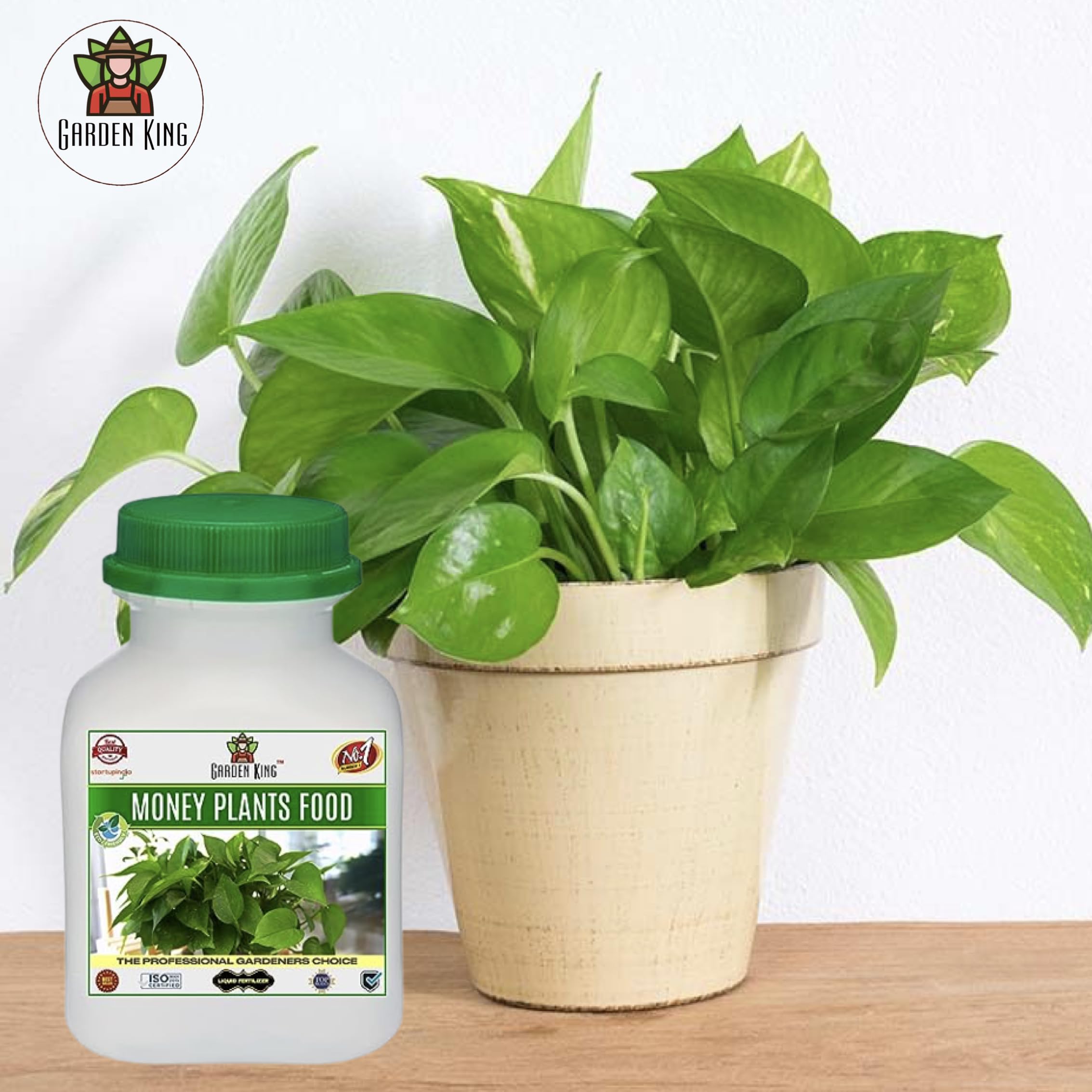 Sansar Agro Garden King Money Plant Food Liquid Fertilizer, Essential  Fertilizer For The Best Growth Of Money Plants With Growth Nutrients And  Charged Micro-Organism (250 Ml) : Buy Online at Best Price