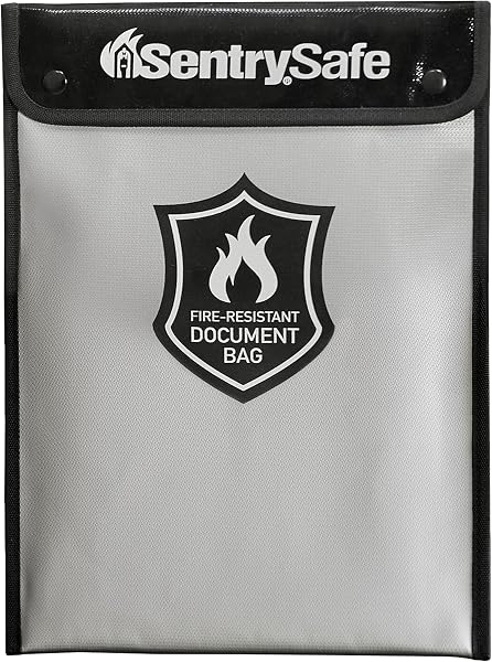 SentrySafe Portable Bag