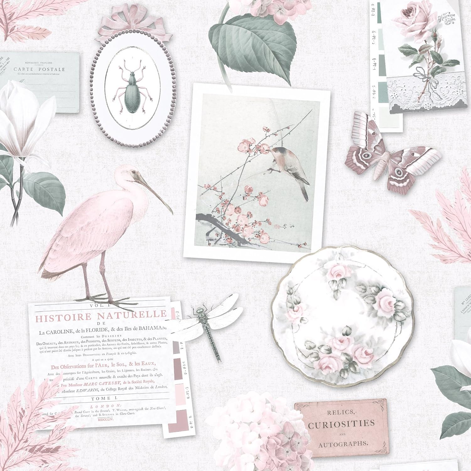 Holden Decor Pink Curiosity Collage Wallpaper - Amazon.com