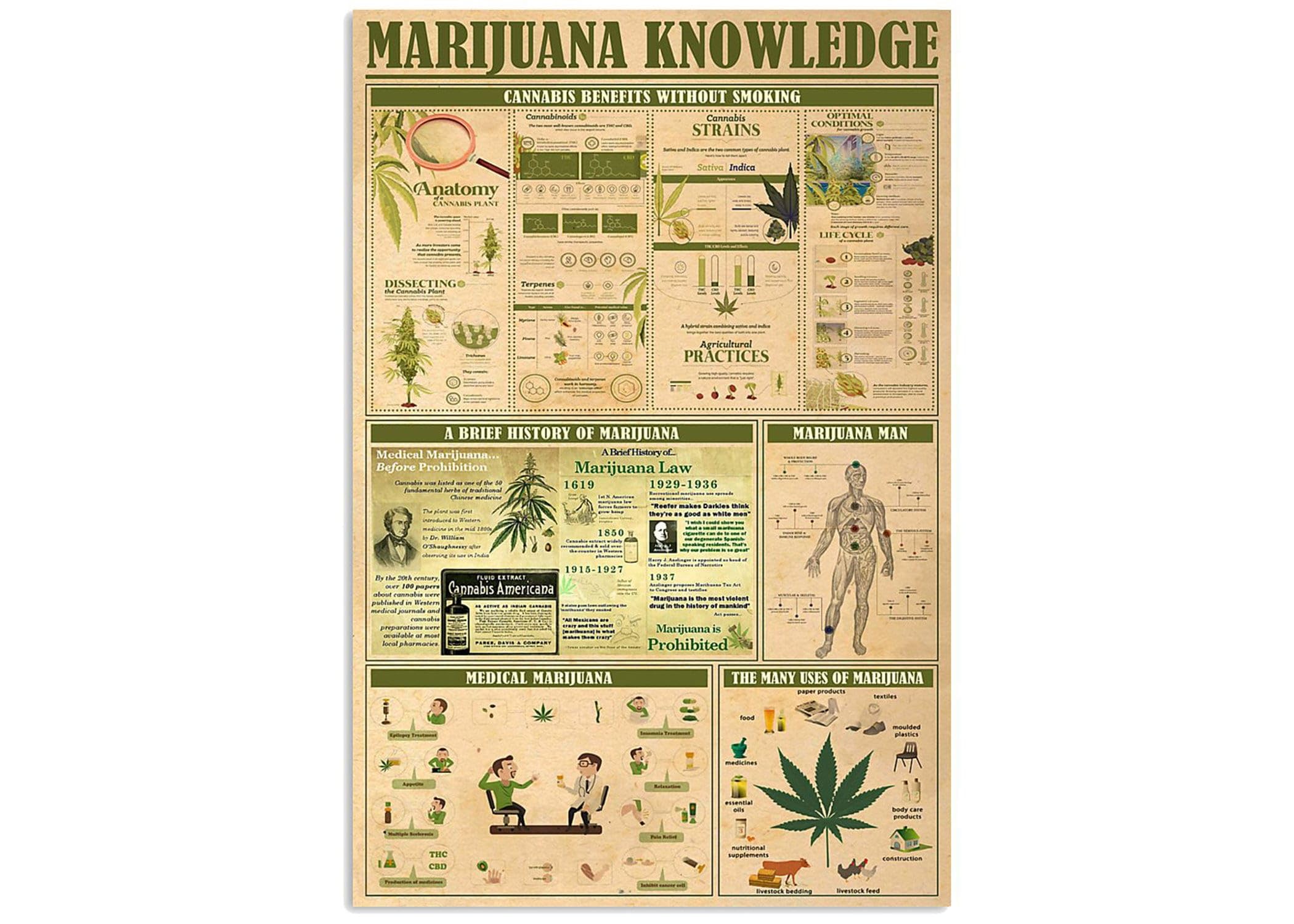 Nuboxx Yt_1 Marijuana Knowledge Metal Signweed Wall Art Weed Decor Weed Art Marijuana Wall Art Cannabis Wall Art Weed Poster Stoner Art Weed Gift Metal Tin Sign 8X12 Inch