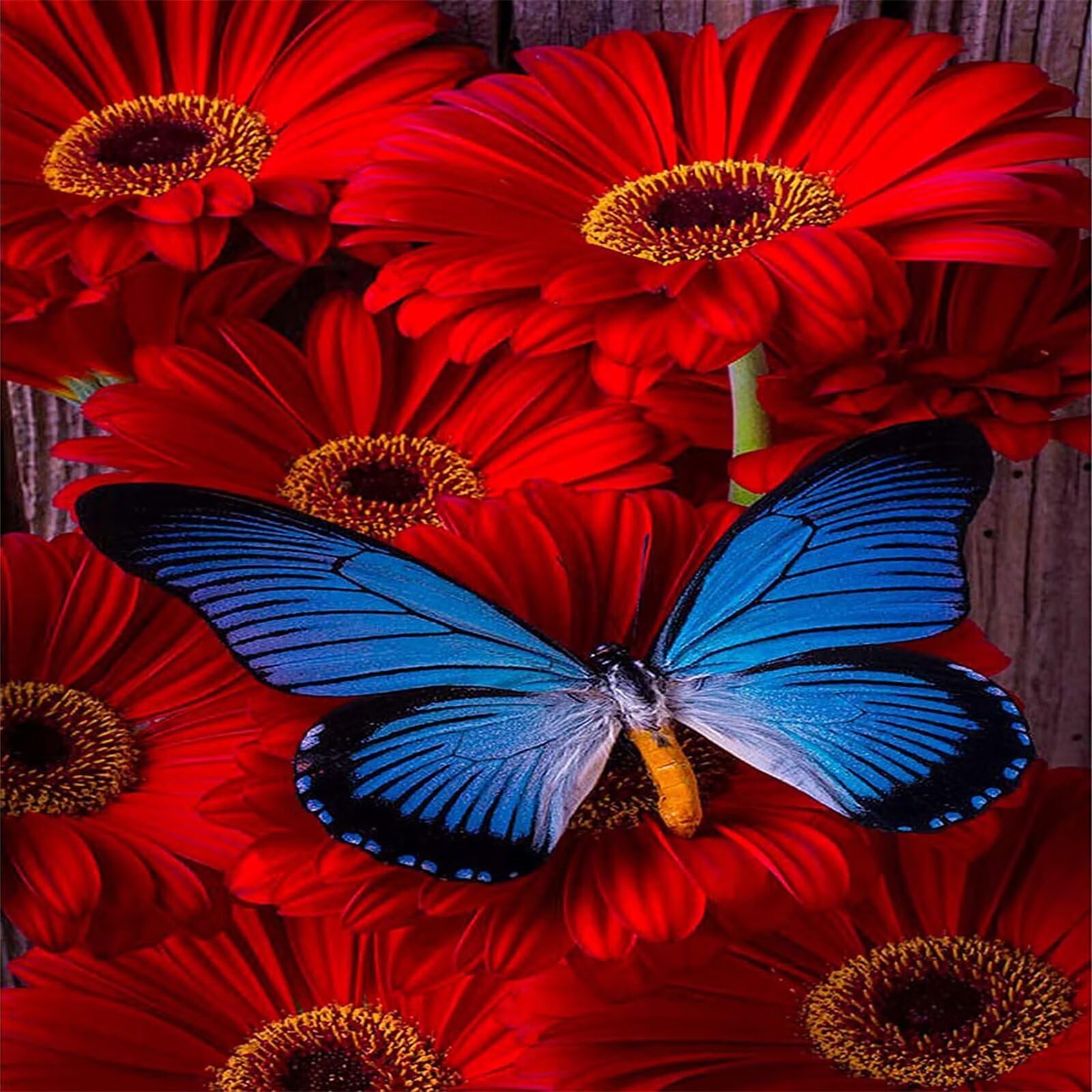 Peinture Diamant 5D Fleur Papillon : Activité DIY Relaxante pour Décorer Votre Salon avec Élégance