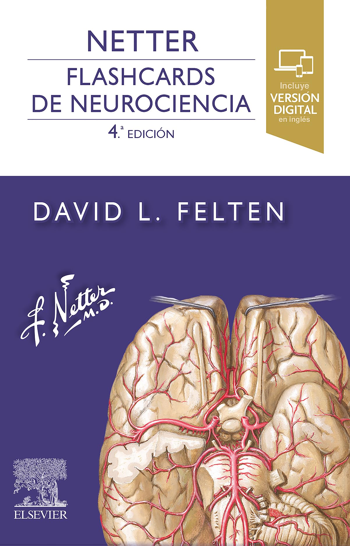 Netter. Flashcards de neurociencia (Spanish Edition)