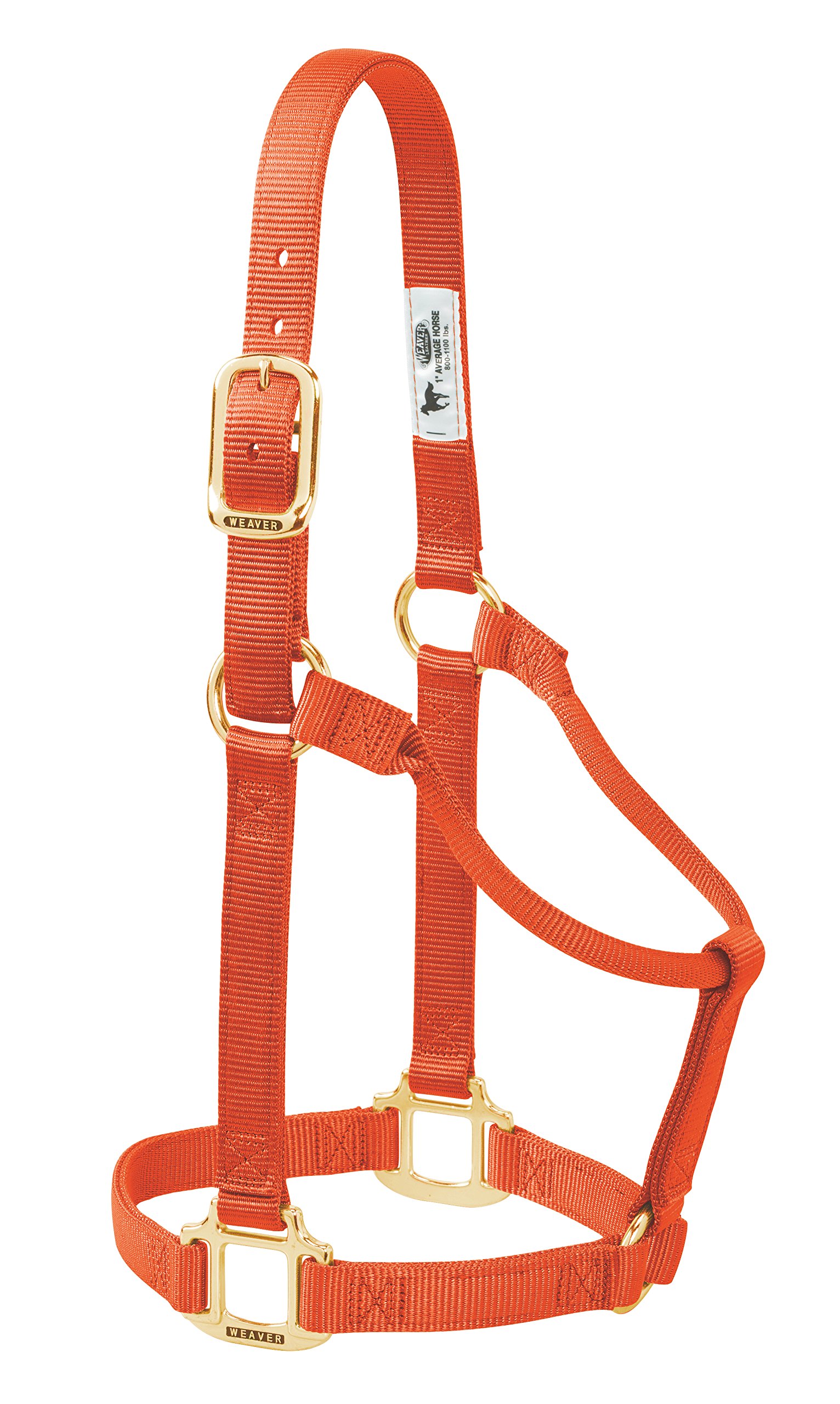 Licol nylon original Weaver Leather orange taille S petit cheval et poney