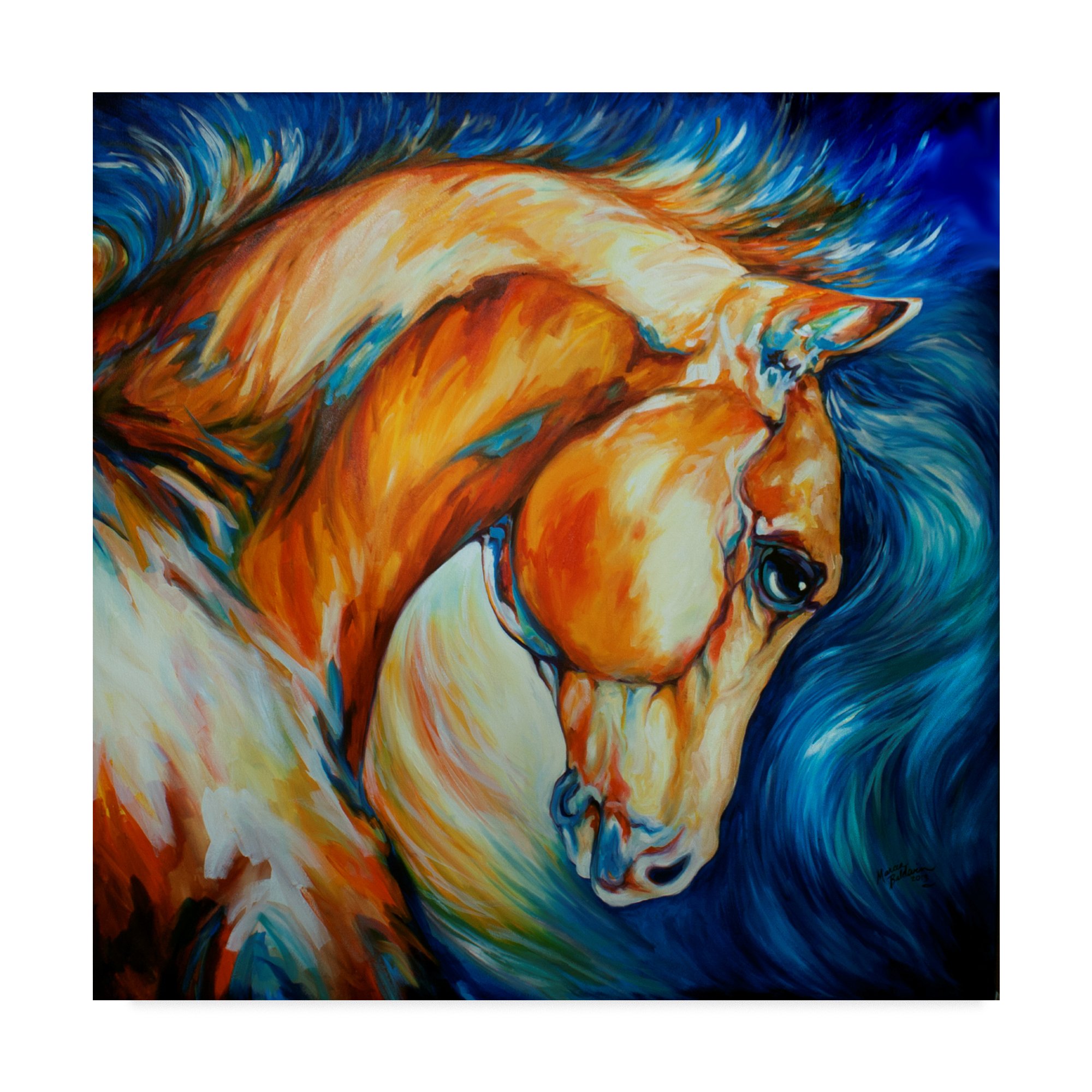 Trademark Fine Art Stallion by Marcia Baldwin, 14x14, Multicolor