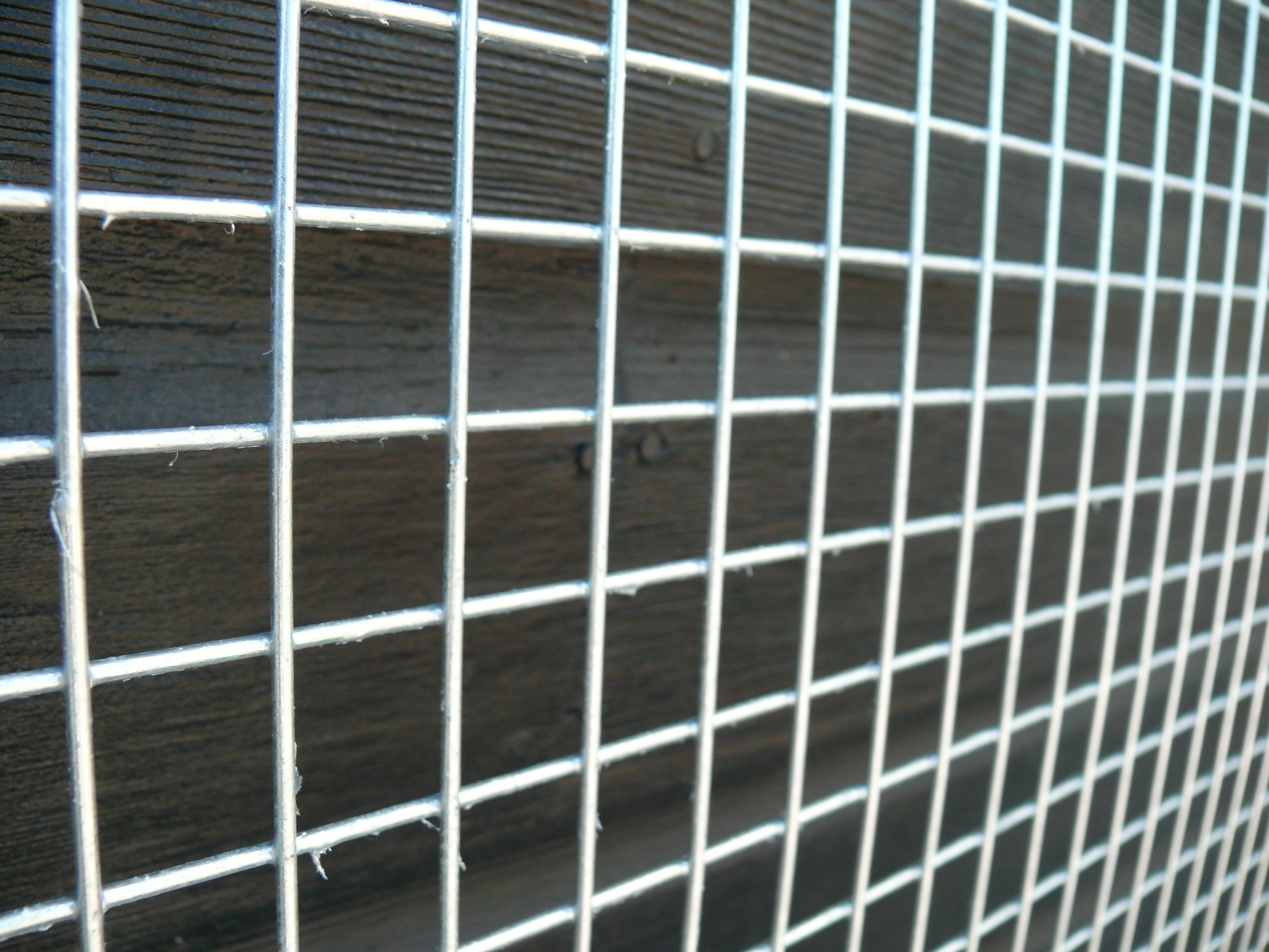 Suregreen Galvanised Wire Mesh Panels 12 Gauge 2.44m x 1.22m 1