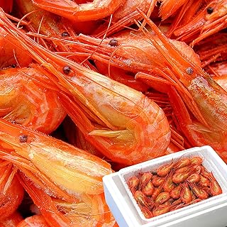 [北海道根室市] 北海道根室市産 北海シマエビ800g(80～130尾) A-56014【配送月(年明け含む)の指定は不可】