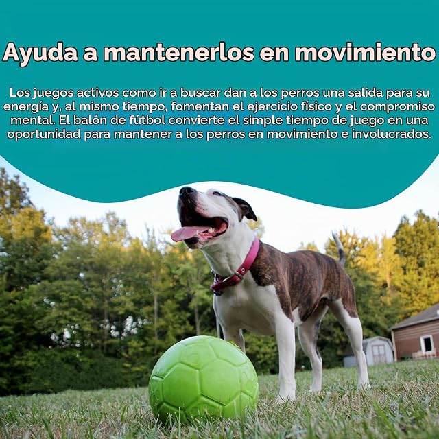 Foto 4 de 7 de Balón de fútbol Jolly Verde L (20 cm)