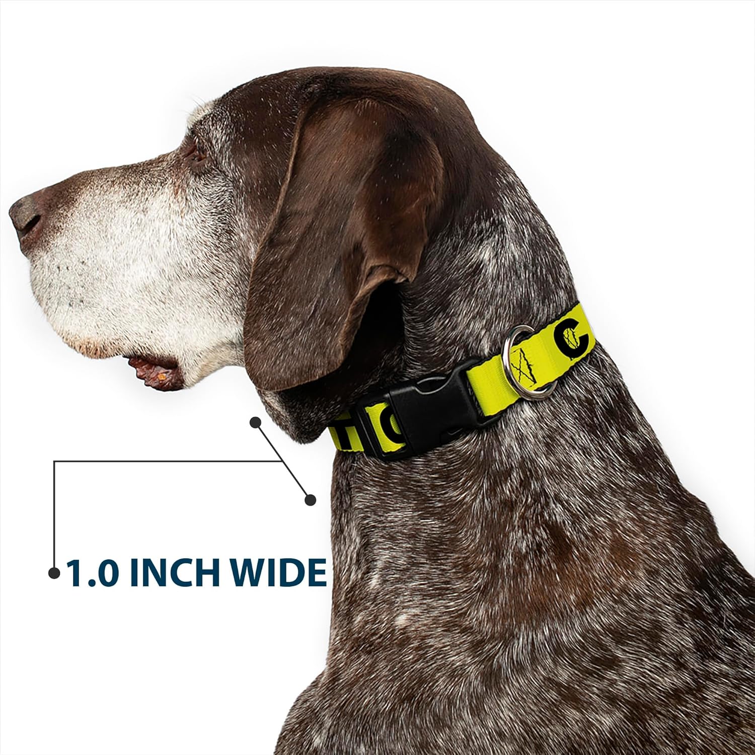 Buckle-Down 18-32" Caution Yellow Black Plastic Clip Collar, Wide Large
