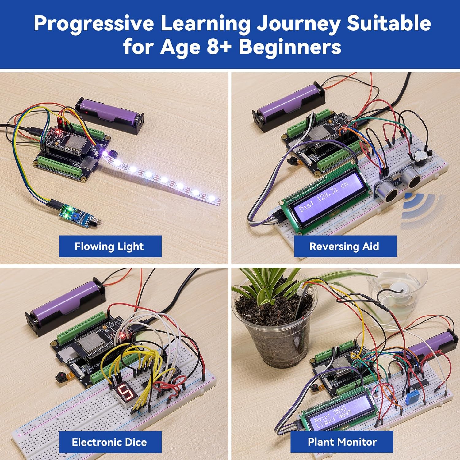 Four basic projects: Flowing Light, Reversing Aid, Electronic Dice, and Plant Monitor