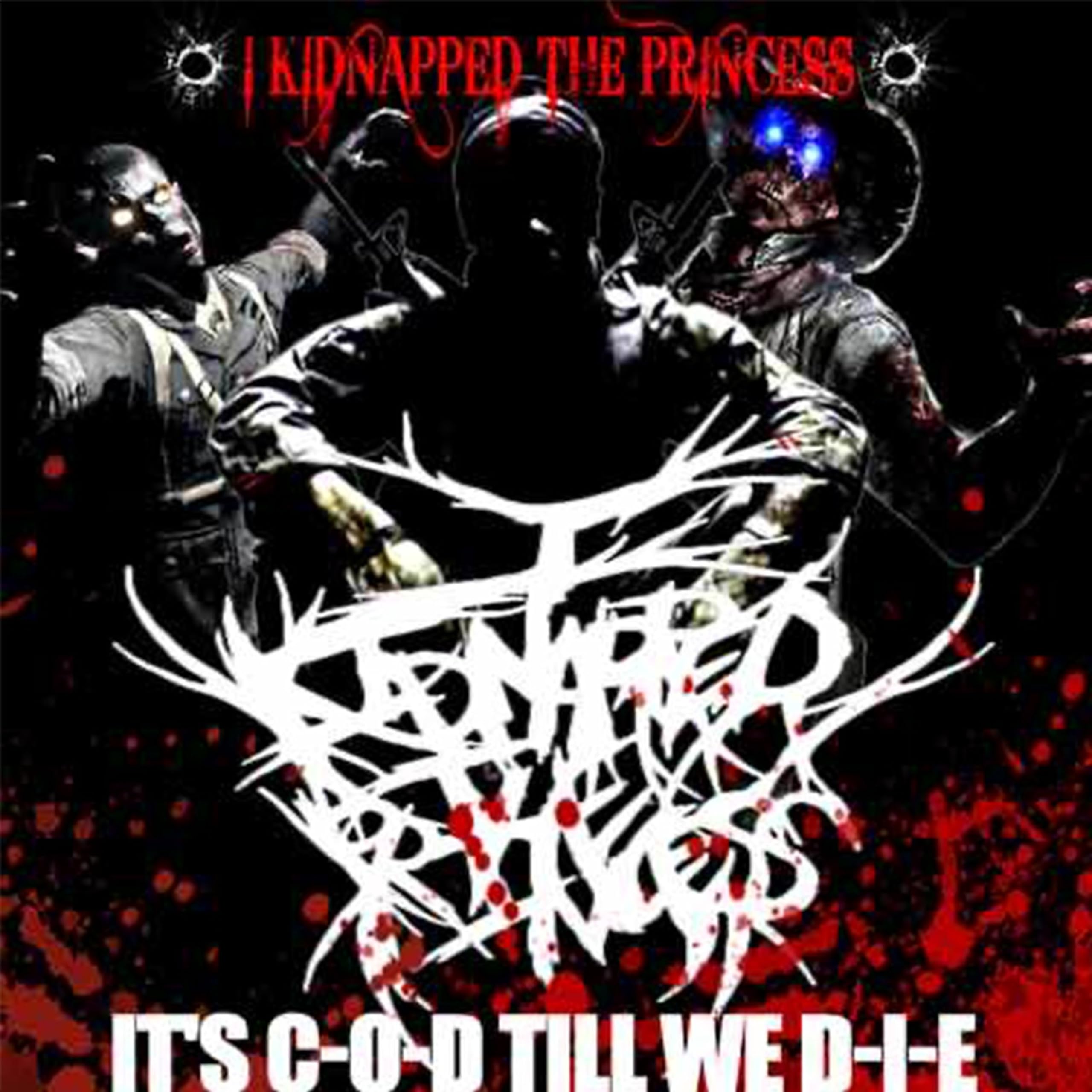 I Kidnapped The Princess