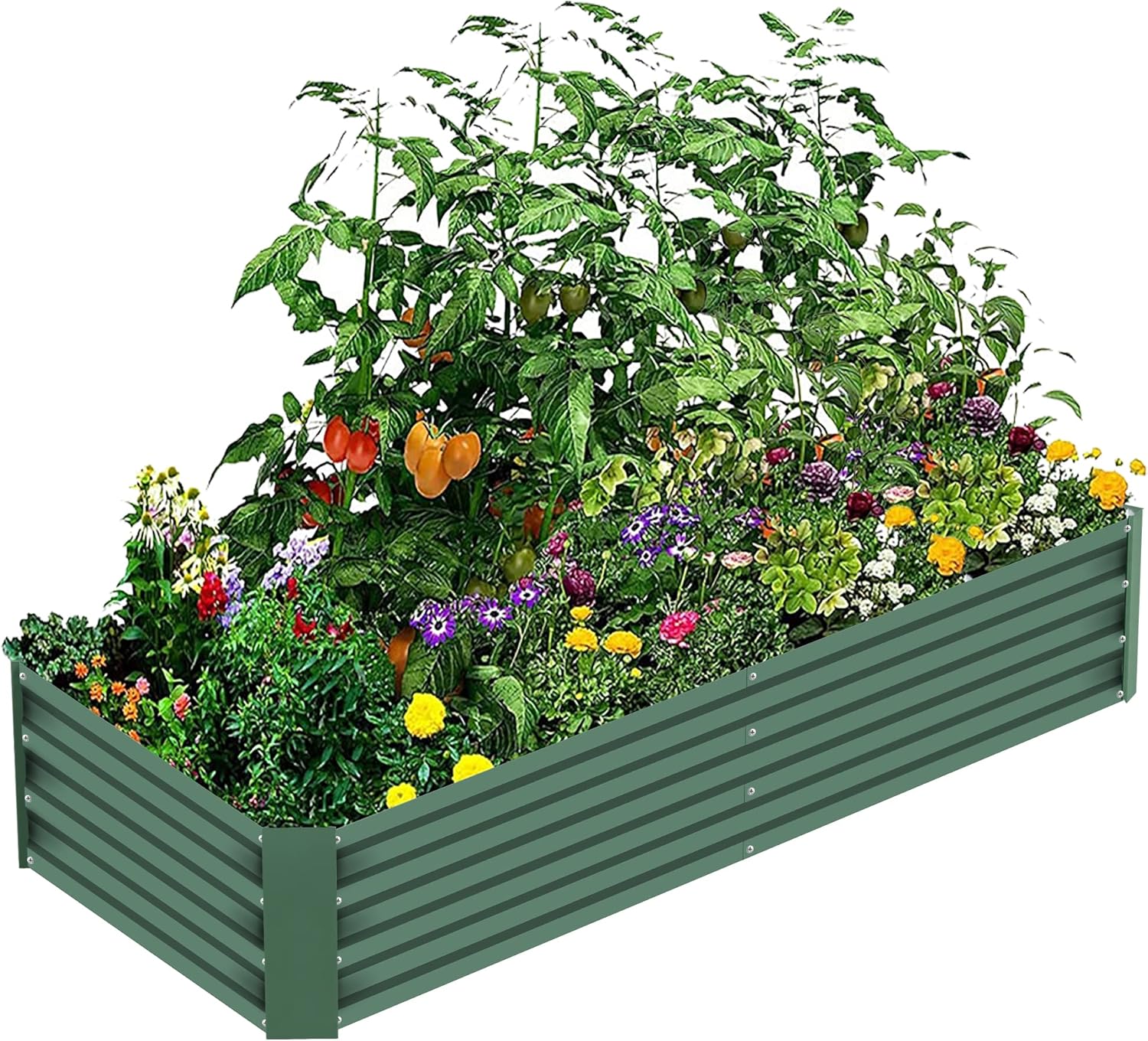Galvanized Raised Garden Bed 6×3×1 Ft Outdoor Large Metal Garden Planter Boxes for Vegetables Flower Herb Plants