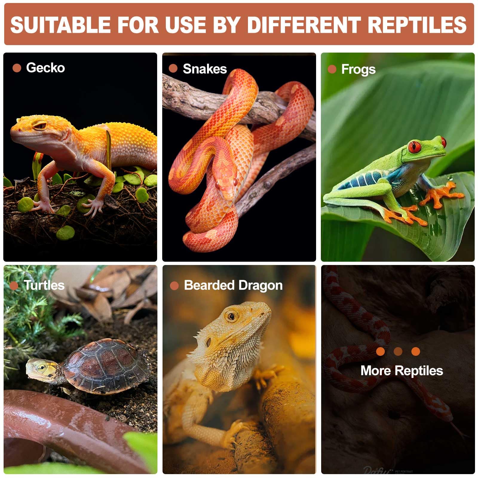 Piel de serpiente para reptiles, con una ranura de humidificación equipada con un sensor de temperatura y humedad, escondite húmedo para serpientes, pitones juveniles, lagartos, gecos leopardo y otros