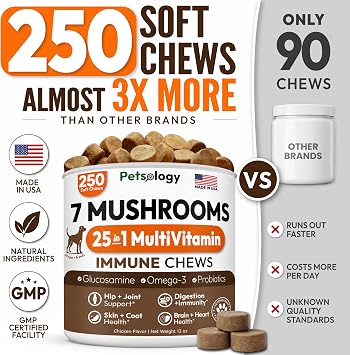 Turkey Tail Mushroom for Dogs - 250 Chews - Lion's Mane, Shiitake & Reishi