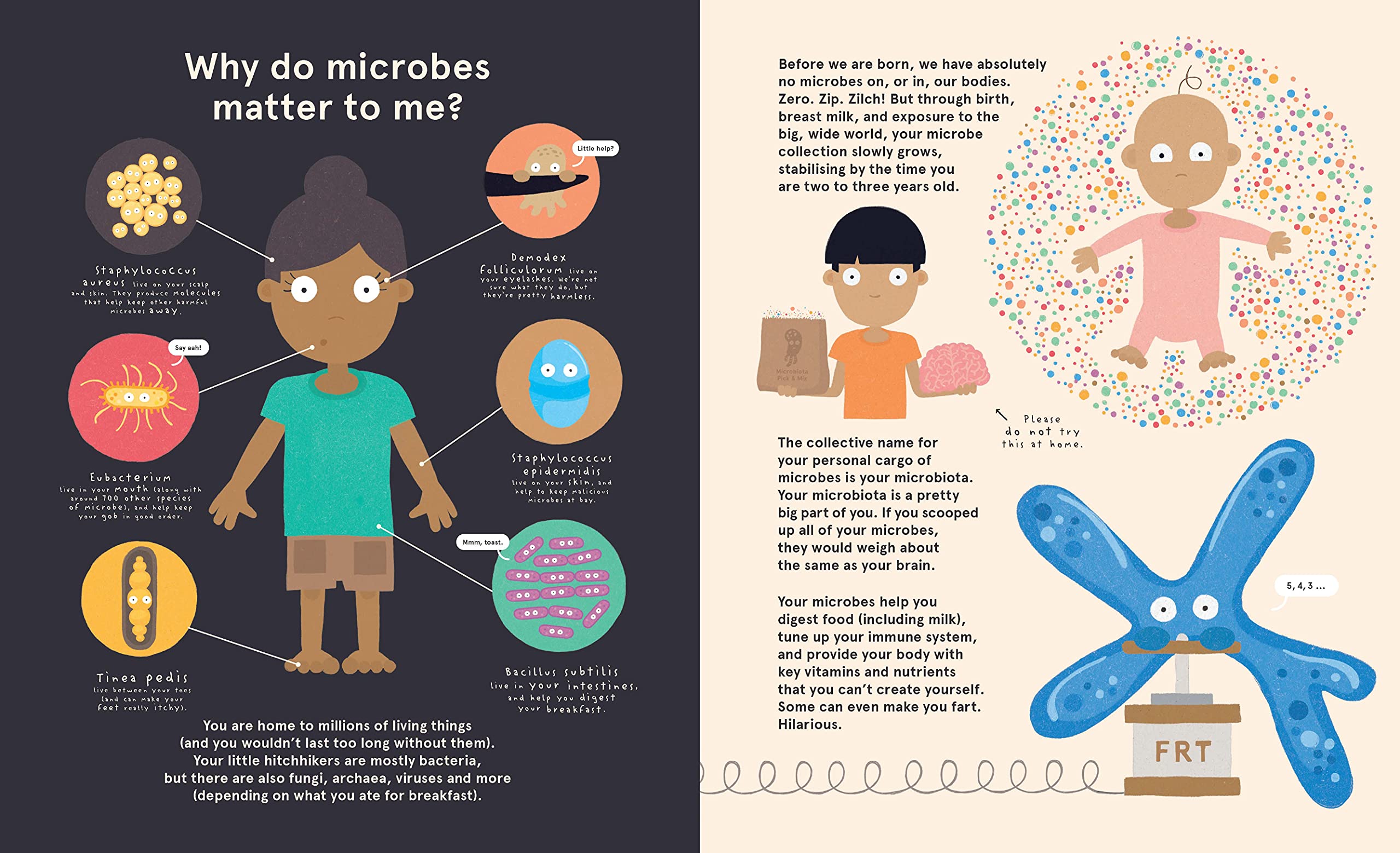Me, Microbes and I: Meet the viruses, bacteria and other weeny weirdies that share your world.