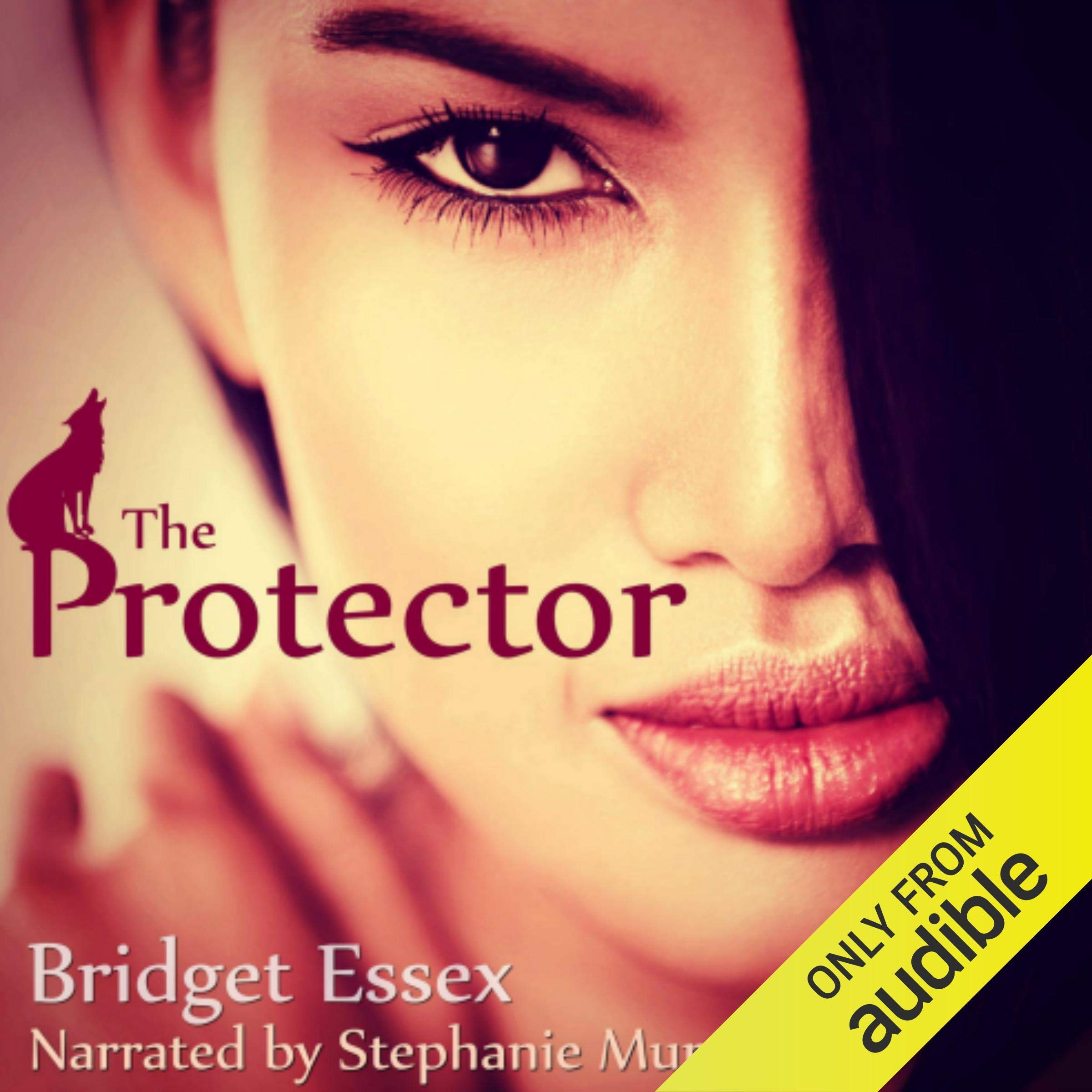 Cover art for The Protector