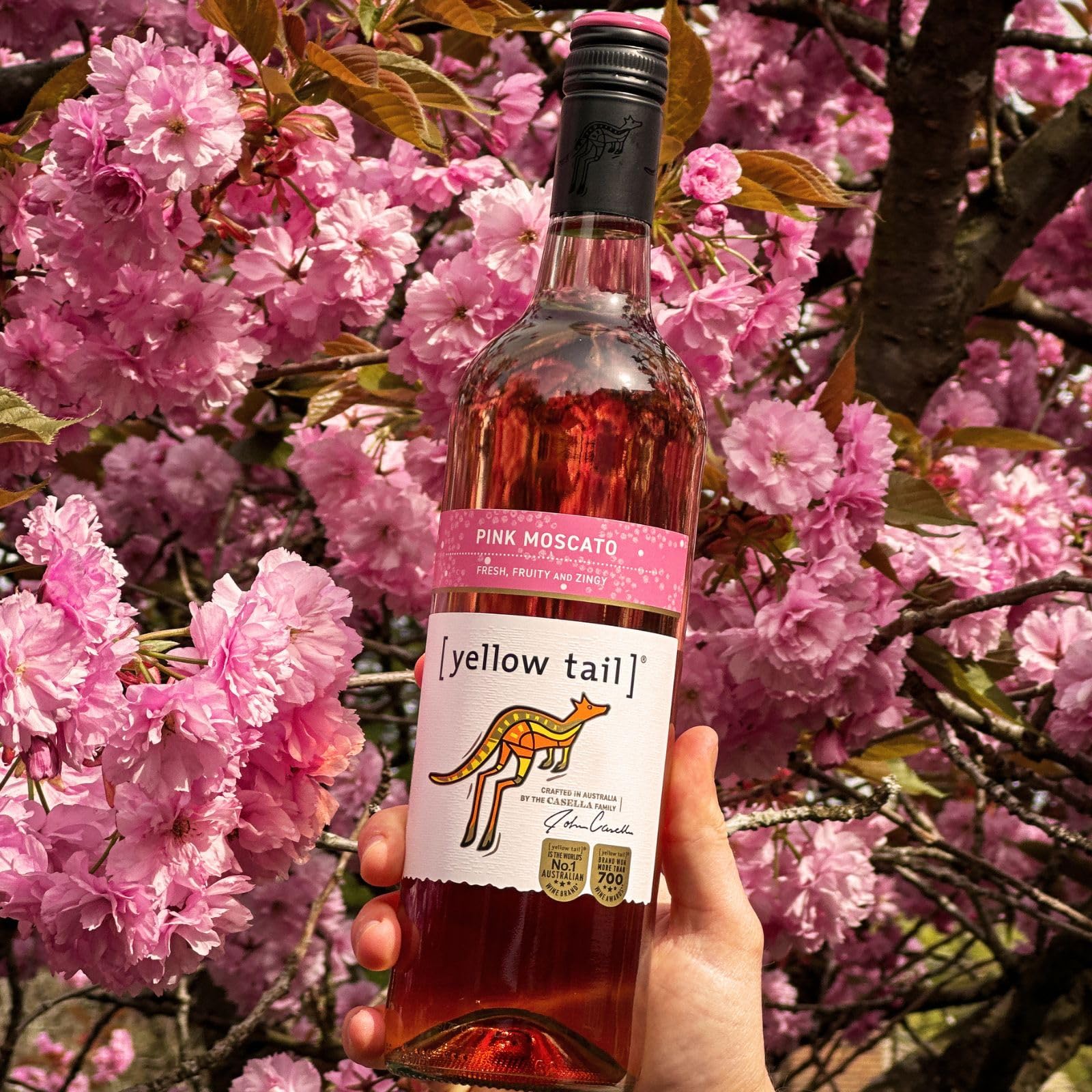 Yellow Tail Pink Moscato - Süßer Roséwein aus Australien mit 7,5% vol. Alkohol (6 x 0,75l)
