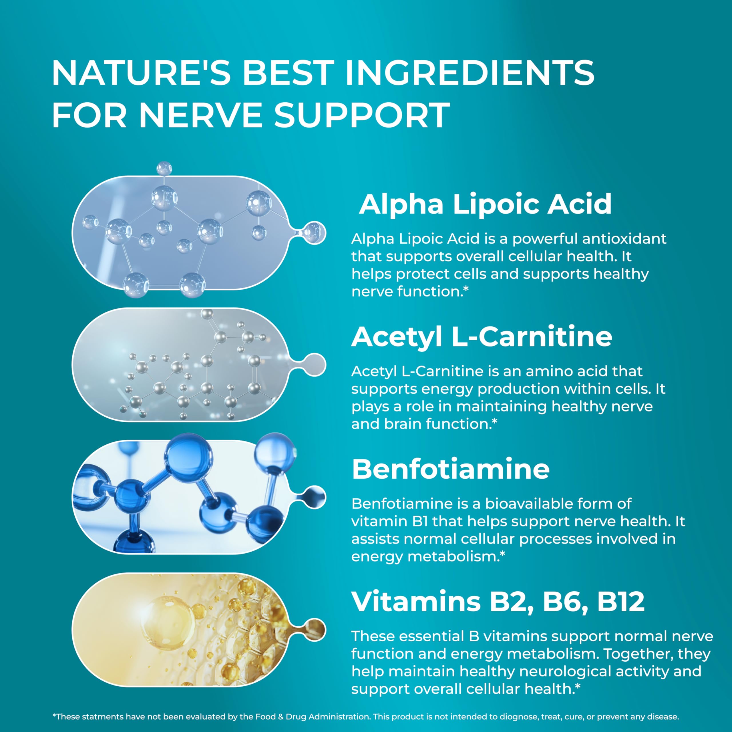 l-carnitine nerve regeneration Acetyl-l-carnitine increases and target organ reinnervation a morphological study l-carnitine nerve regeneration L-Carnitine |