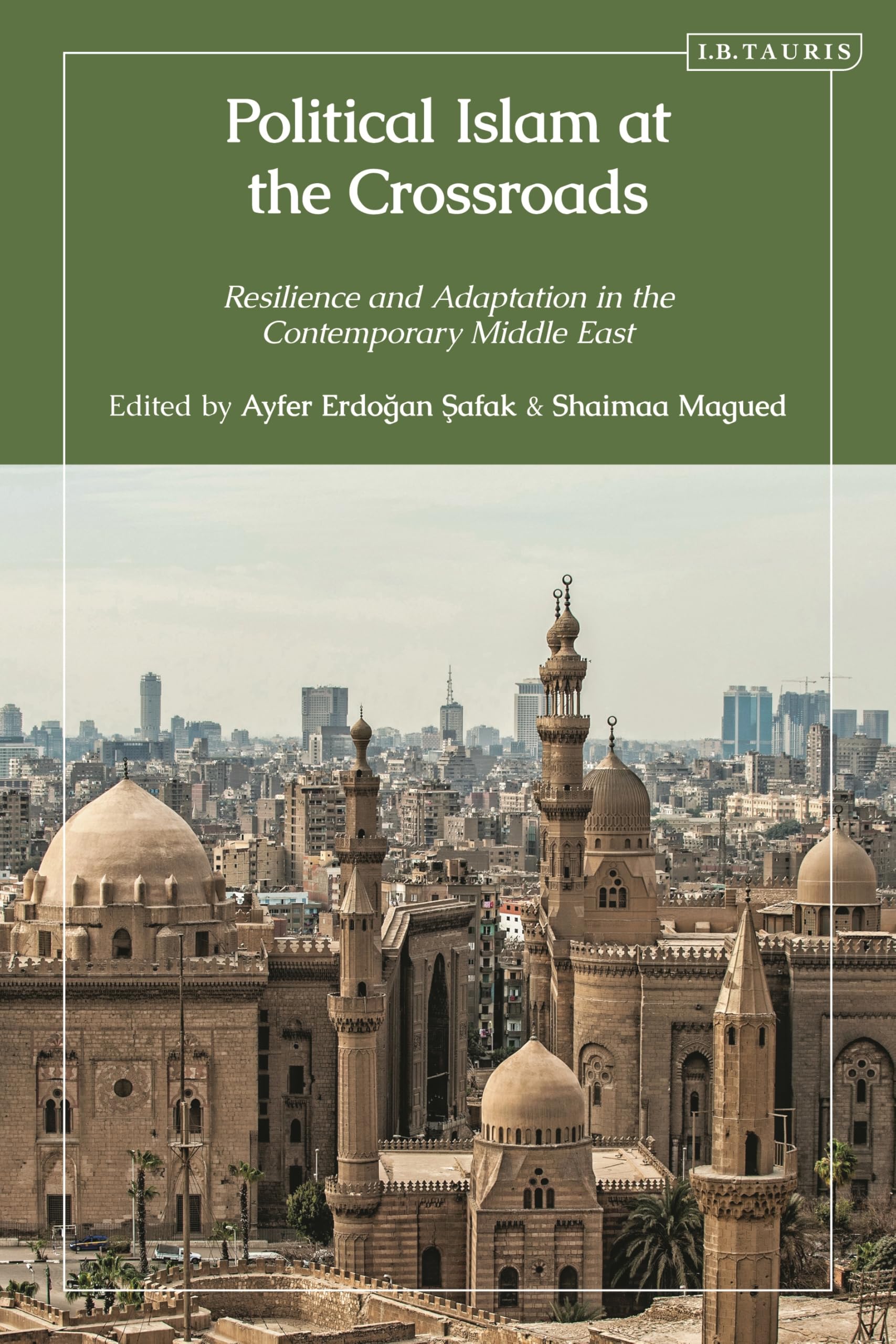 Political Islam at the Crossroads: Resilience and Adaptation in the Contemporary Middle East