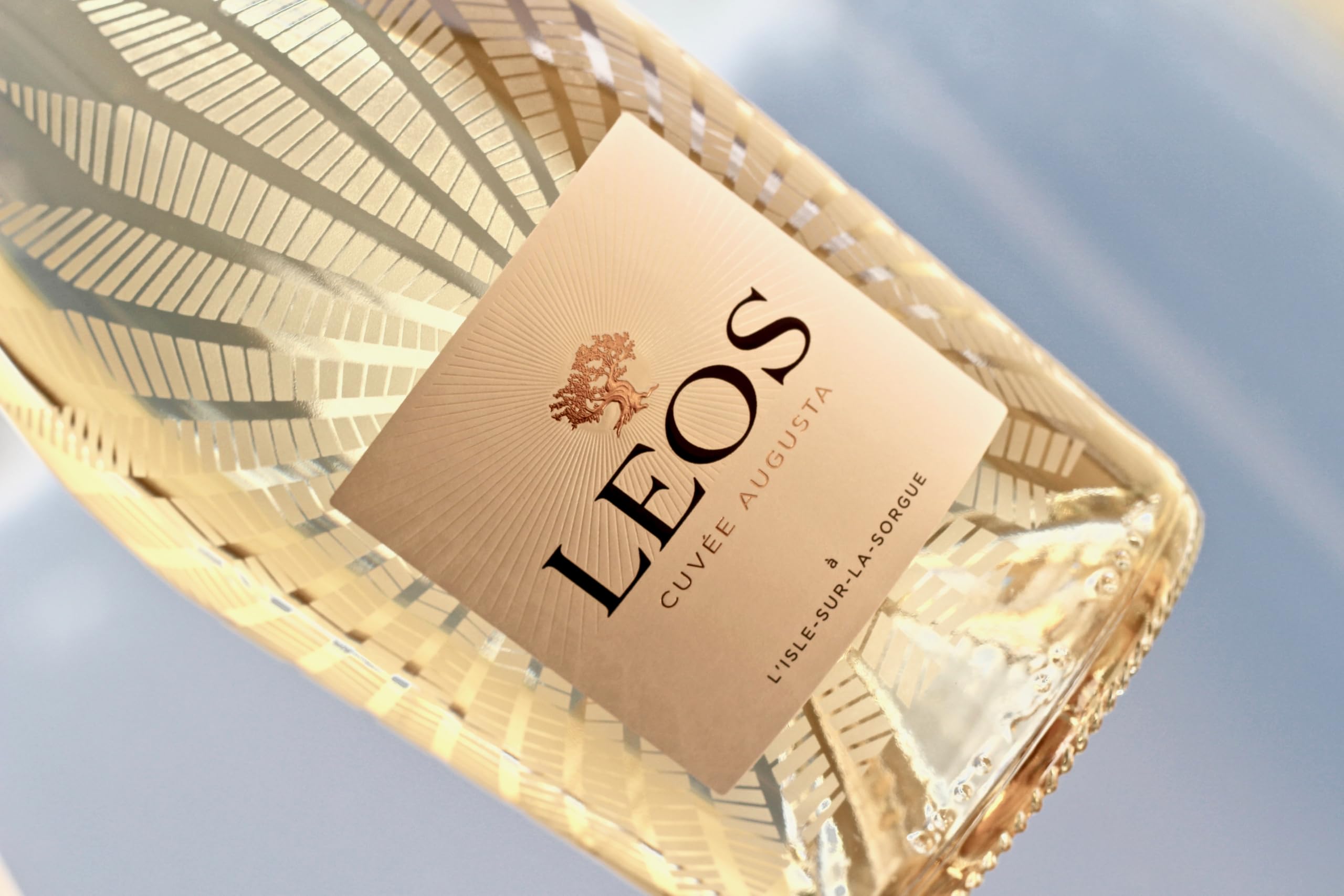 LEOS - Coffret Cadeau Gastronomique - Gourmandises de Noël - 3 Produits - Vin Blanc - Huile D'Olive Fruité Vert - Confiture d'Abricot