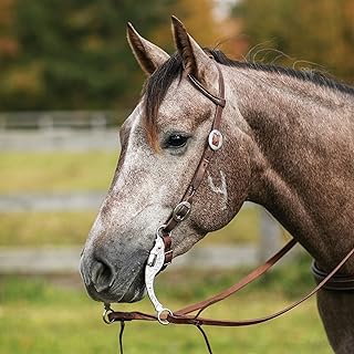 Billy Royal Oiled Hermann Oak One Ear Buckle End Headstall