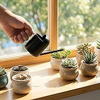 Vista 4 de IMEEA Mini regadera para plantas de interior de acero inoxidable pequeña regadera de 11 oz/10.1 fl oz
