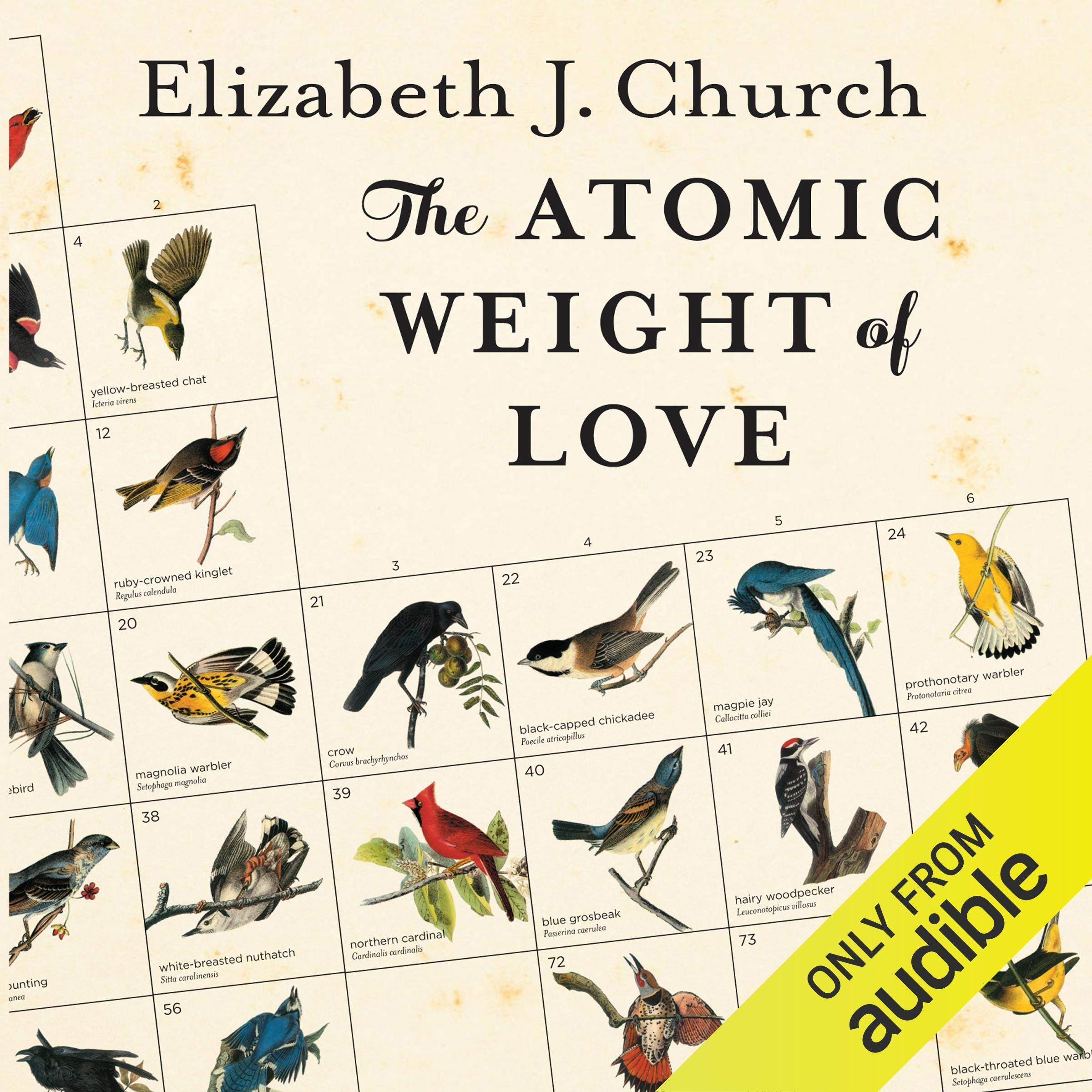 Cover art for The Atomic Weight of Love