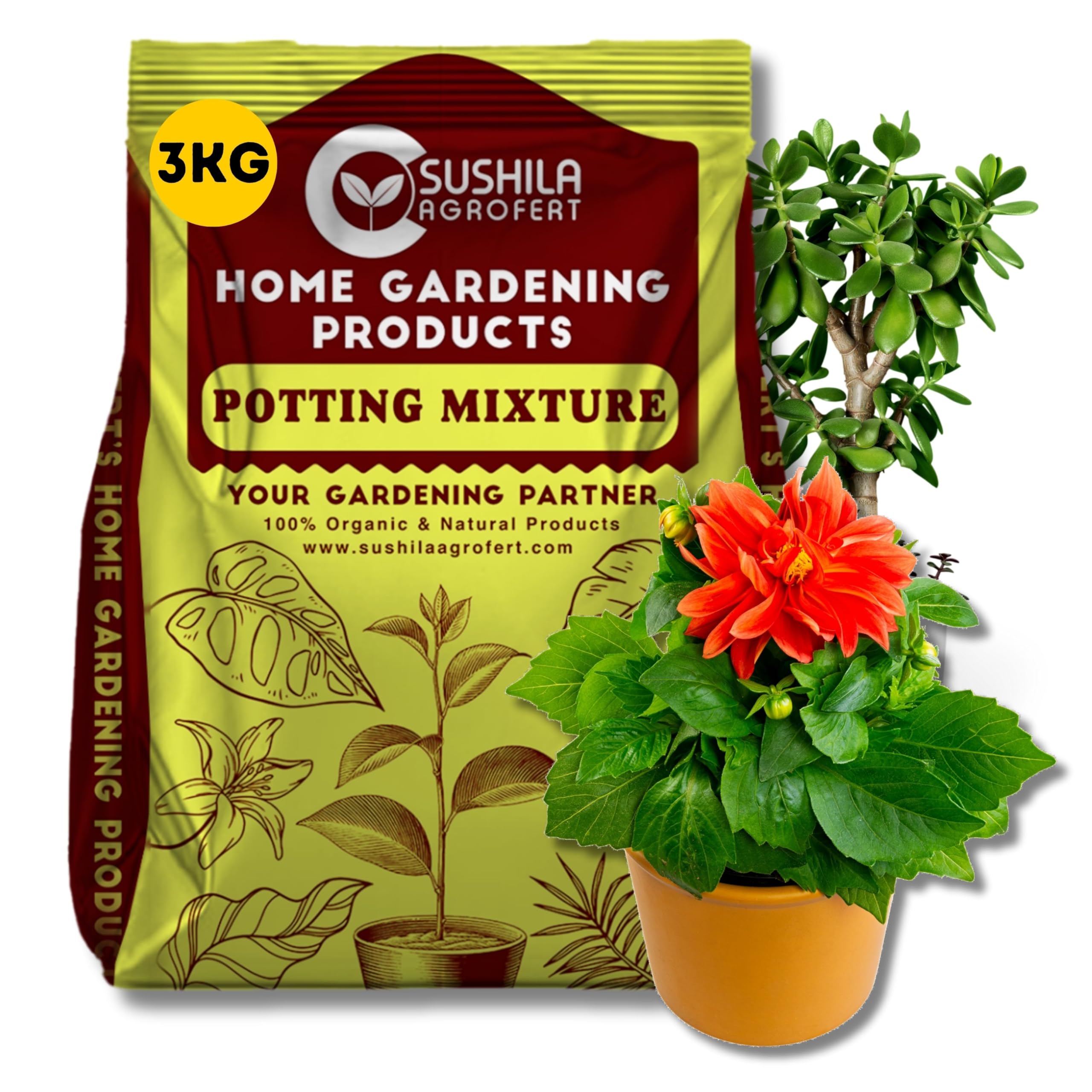 Sushila Agrofert Potting Mixture for Plant, Home Gardening Plant Media, Best Plants Growth Soil, Plant Mixture Potting Mix-3Kg (B0D1P2WG39) Amazon Price History, Amazon Price Tracker
