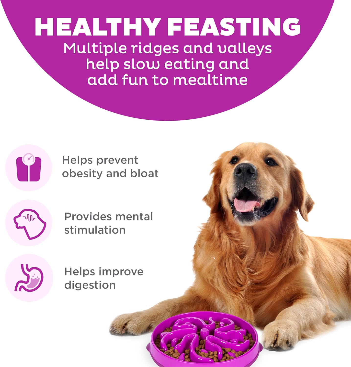 Tame Fast Eaters: Outward Hound Slow Feeder Bowl Review