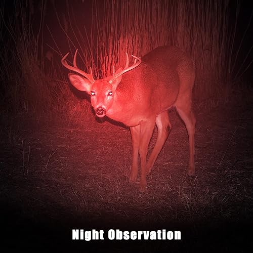 Miniatura 6 de Honoson 6 Piezas Linterna de Luz Roja LED Antorcha de Modo Único 1 Modo Escalable Filtro de Lente Roja Linterna para Astronomía Nocturna Aviación