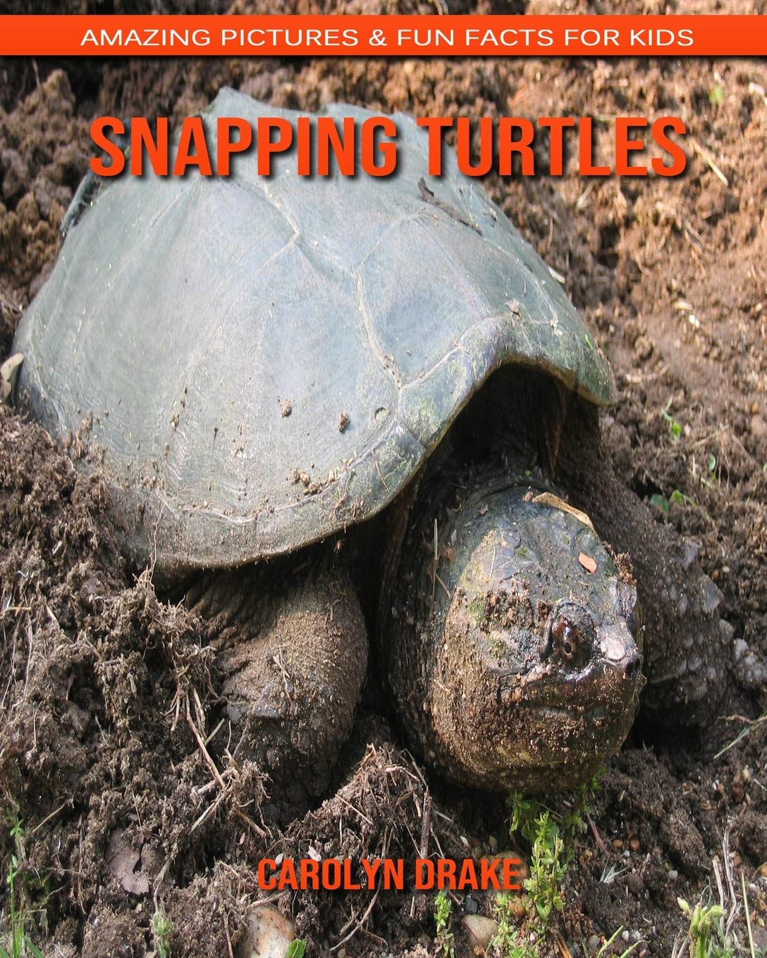 Buy Snapping Turtles Amazing Pictures & Fun Facts for Kids Online at desertcartINDIA