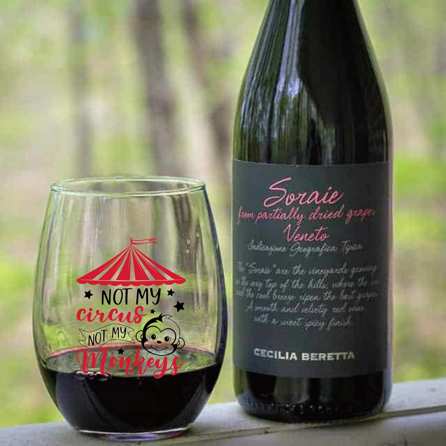 AGMDESIGN Not My Circus Not My Monkeys Funny Wine Glass, Retirement Gifts for Coworkers, Humorous Thank You Gifts Ideas for Mom Friends Neighbors BFF - Sarcastic Proverbs Wine Glass - Image 5